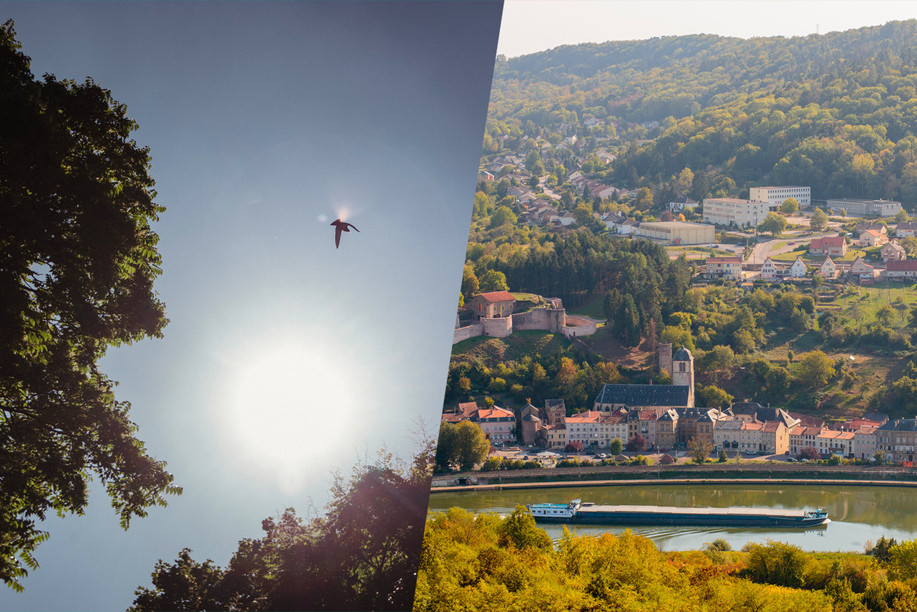 According to Meteolux forecasts, temperatures will be close to 30°C until the weekend before a peak of heat on Saturday along the Moselle. (Photos: Nader Ghavami/Archives. Matic Zorman/Archives. Editing: Maison Moderne)