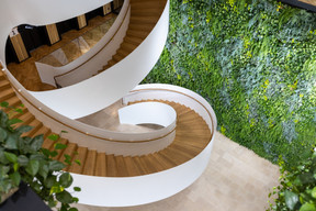 Une paroi végétale de plus de 80m2 a été installée dans l’atrium, (Photo: Romain Gamba/Maison Moderne)
