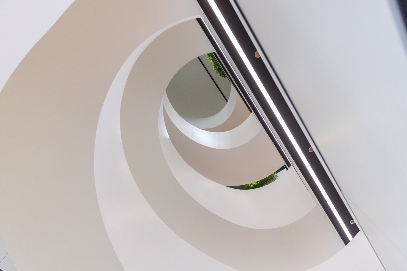 De forme elliptique, l’escalier a inspiré le nom du bâtiment. (Photo: Romain Gamba/Maison Moderne)