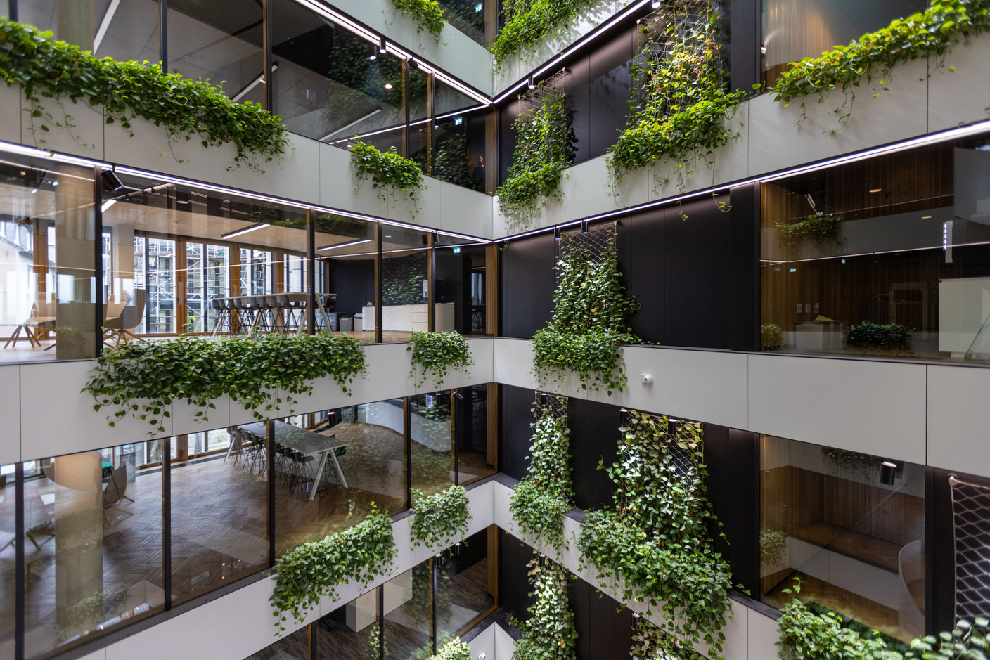 Aux différents étages, des plantations grimpantes sont installées sur les façades intérieures. (Photo: Romain Gamba/Maison Moderne)