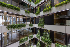 On the different floors, climbing plants have been installed on the interior façades. Photo: Romain Gamba/Maison Moderne