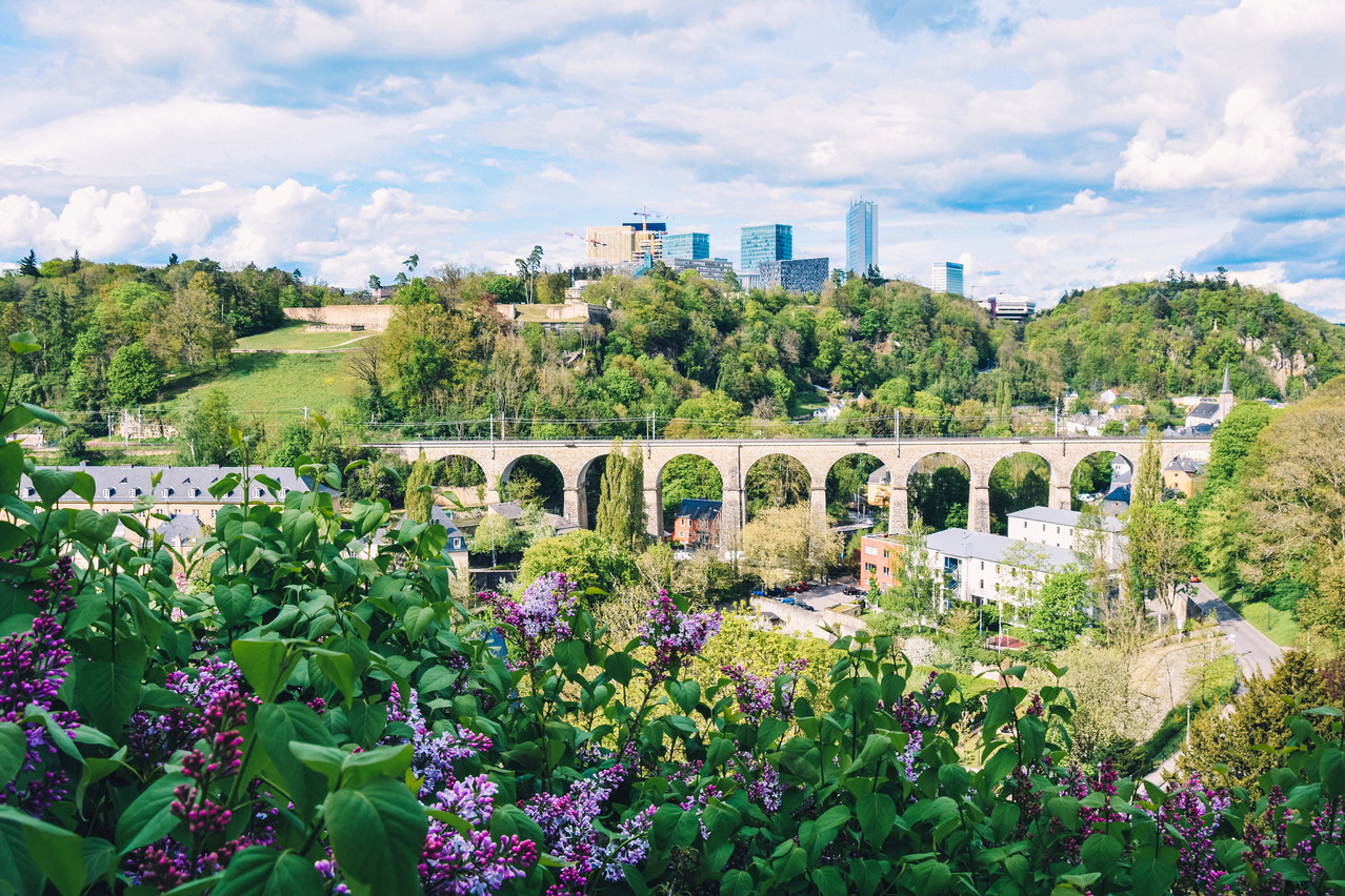 Trees cover about 37% of Luxembourg City, according to the EEA study. Photo: cucushonok / Shutterstock