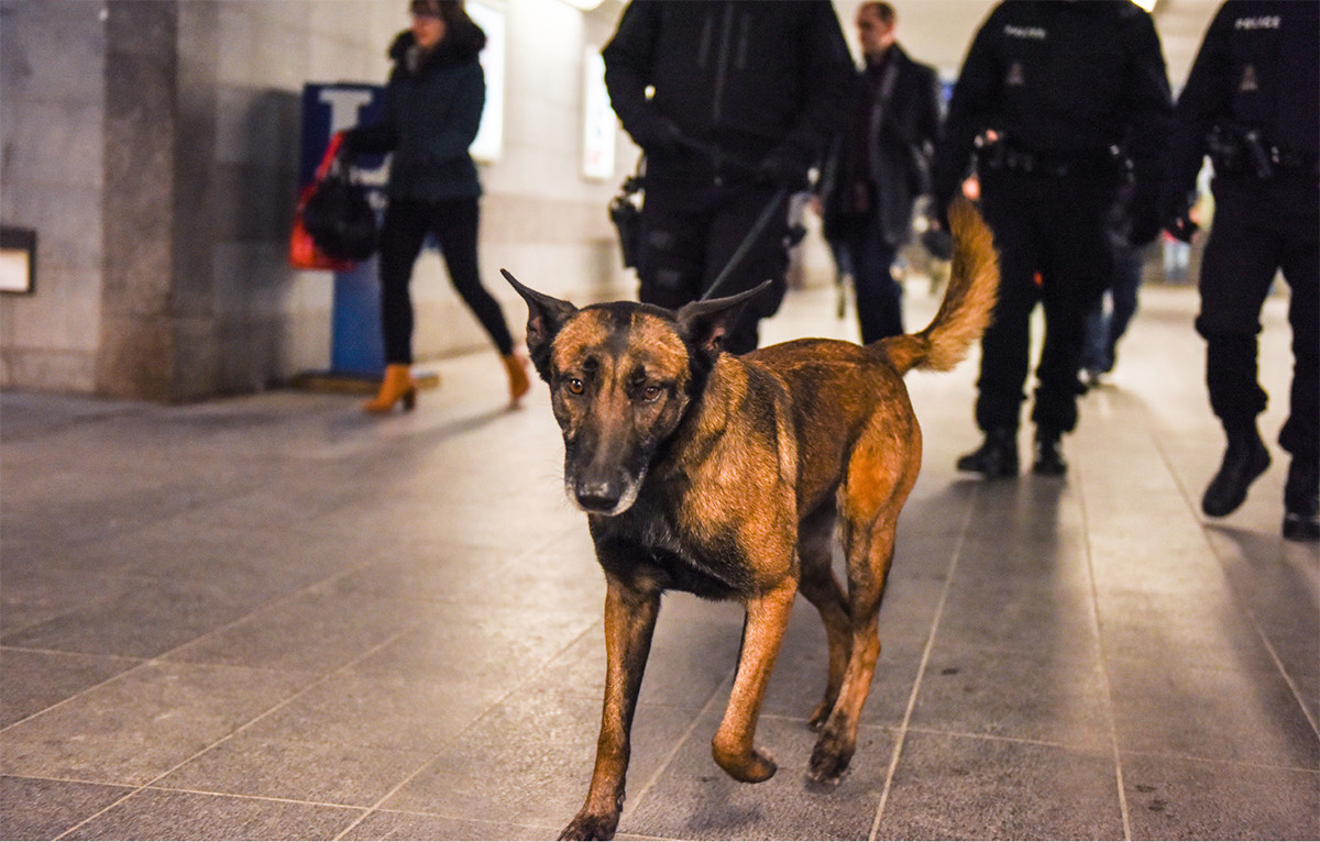 What training is required to work with a dog? The Luxembourg police explains their protocol. (Photo: Grand Ducal Police)