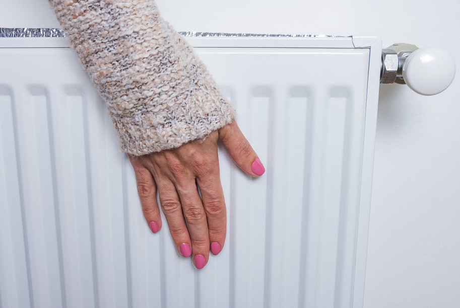 A premium of between €200 and 400 will be offered to several Luxembourg households. (Photo:Shutterstock)