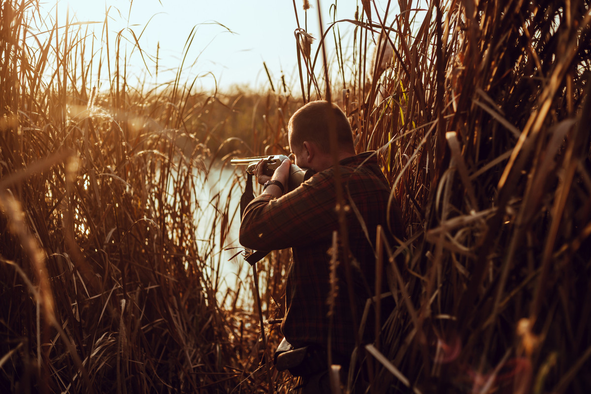 Hunting strictly regulated in Luxembourg Delano News Hunting strictly regulated in Luxembourg Delano News