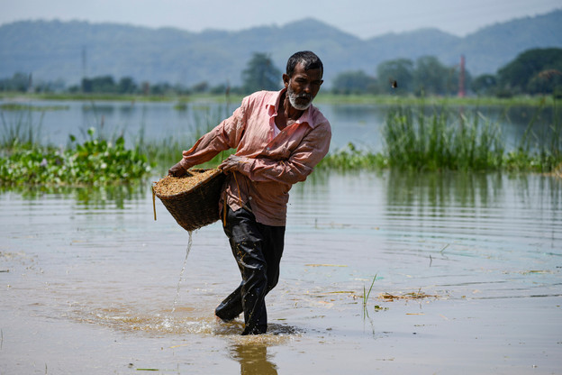 5.000 agriculteurs de deux régions indiennes profiteront de la technologie mise sur pied par Ibisa pour Global Parametrics, adossée à Hannover Re. Un chiffre qui montera à 500.000 d’ici 2024. (Photo: Shutterstock)