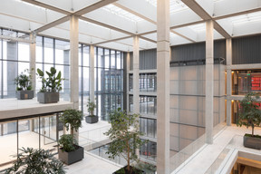 Numerous plants decorate the atrium space. Guy Wolff/Maison Moderne