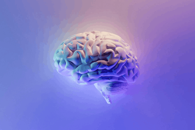 Vous souhaitez découvrir les soft skills qui font la différence dans votre contexte? Contactez PerformanSe pour une démo. (Photo libre de droits)