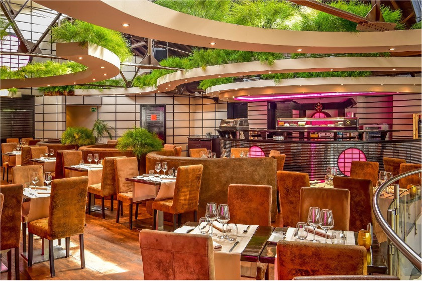 IKKI’S BIRTHDAY. (Credit: Pedro SAMPAYO RIBEIRO)