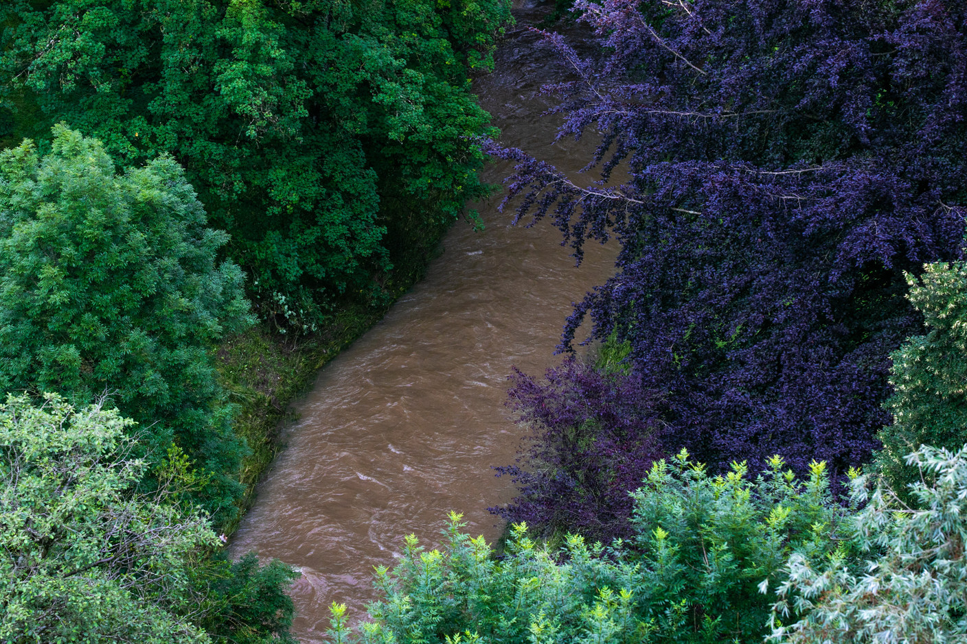 The Petrusse river in Luxembourg City, 15 July 2021. Matic Zorman / Maison Moderne