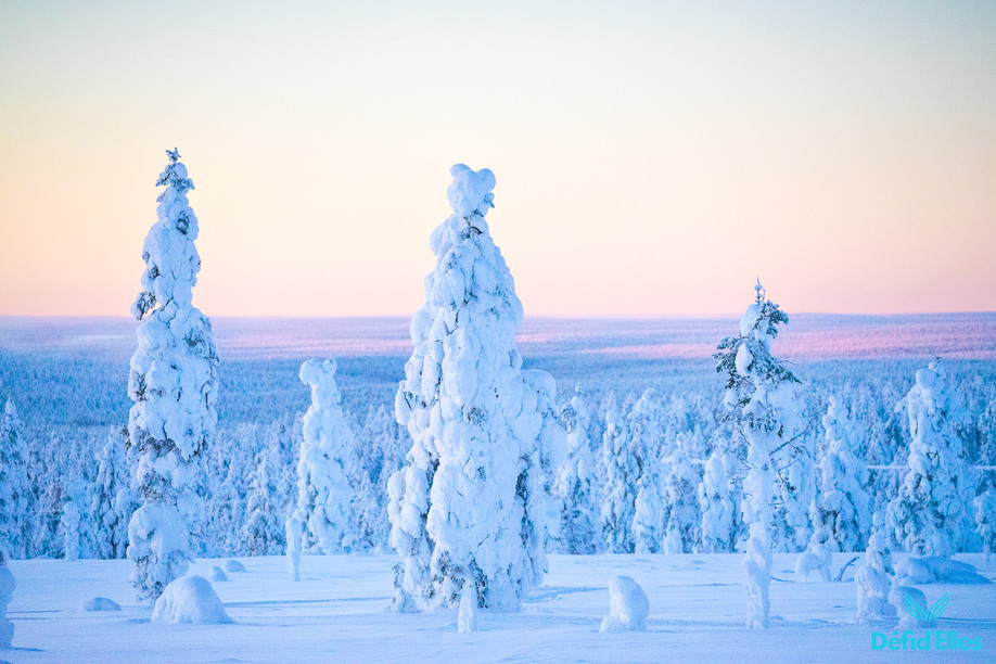 IMC Agency participe au Défi d’Elles Laponie 2026 avec Alexandra Dourassof pour soutenir la lutte contre la SLA. (Photo: IMC Lux Agency)