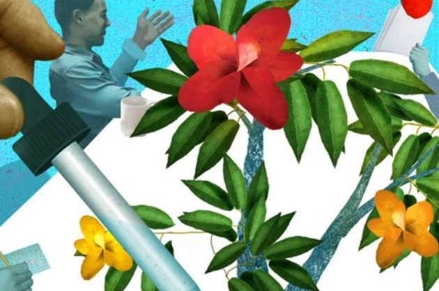 Les implications de l’investissement durable Fidelity International