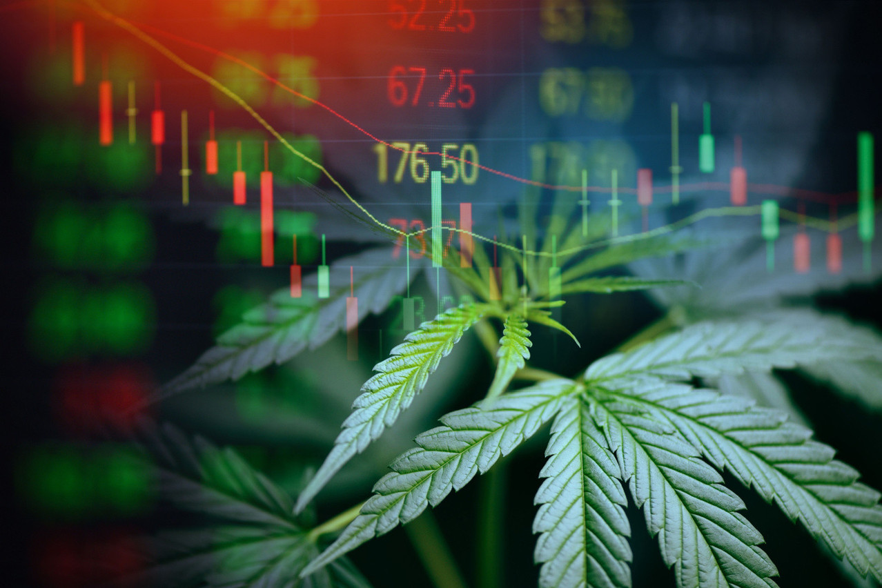 Tokéniser des assets via une plateforme luxembourgeoise sous l’autorité du régulateur financier et de l’UE. Un bon moyen de changer le marché avaient analysé les fondateurs de Global Cannabis depuis un moment. (Photo: Shutterstock)