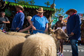 Procession des moutons (Photo: Nader Ghavami)
