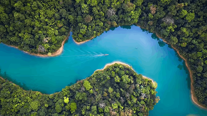 Insurers can embrace ESG to make a difference PwC