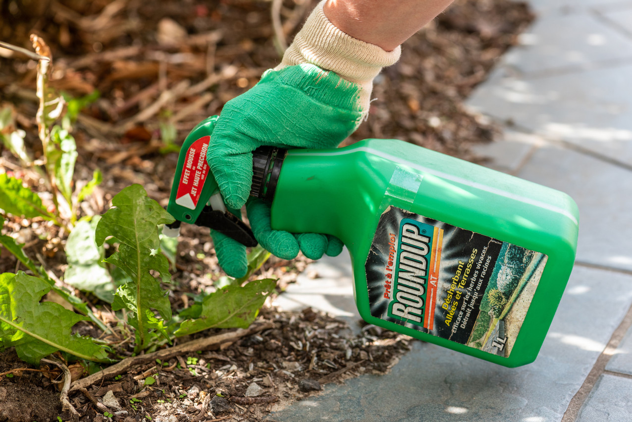 L’UE doit réexaminer l’utilisation du glyphosate à la fin de 2022. (Photo: Shutterstock)