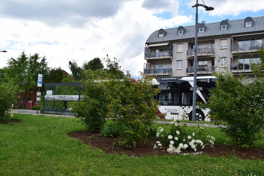 Did the buses that are part of the RGTR network receive European subsidies when they would not have been entitled to them? That’s the question the European Public Prosecutor's Office is trying to answer. Photo: Shutterstock