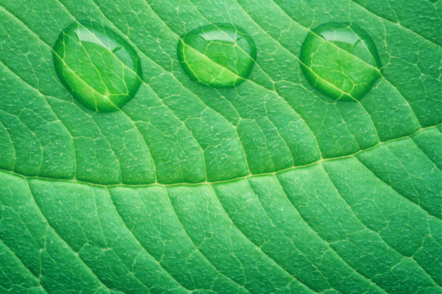 L'investissement ESG: vers de futurs sommets? (Photo: Lyxor ETF)