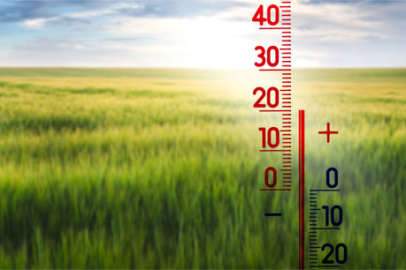 Le désinvestissement des actifs à forte intensité carbone augmentera fortement au cours des cinq prochaines années, pour le plus grand bien du climat. (Photo: Shutterstock)