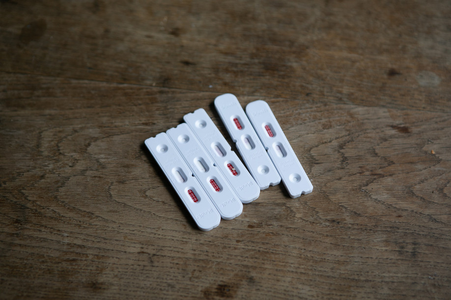 People who have tested positive for the coronavirus but are fully vaccinated and received a booster jab will be able to leave isolation after six days provided two rapid antigen tests are negative, under plans presented on 5 January Library photo: Matic Zorman / Maison Moderne