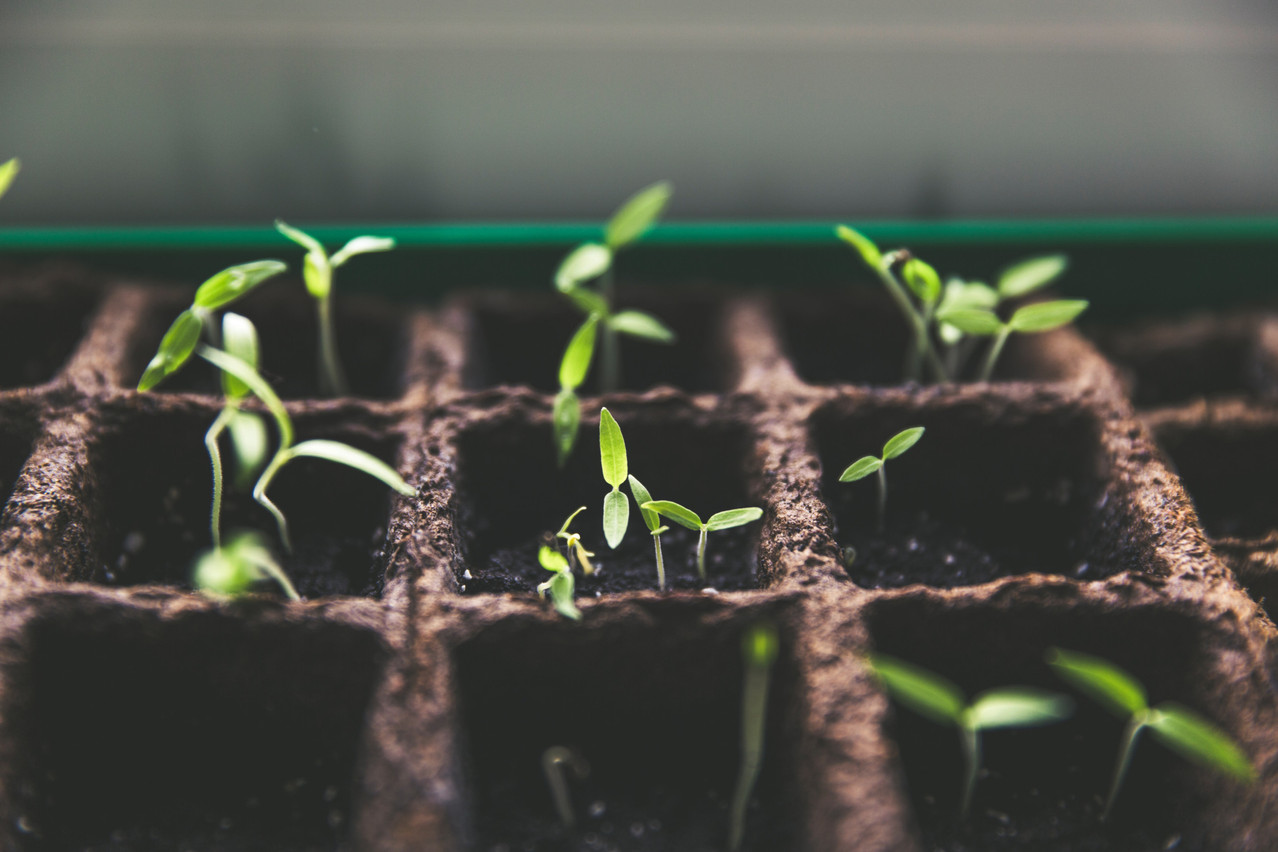 Passive investing requires patience and is usually preferred by long-term investors who are willing to buy and hold. Markus Spiske/Unsplash