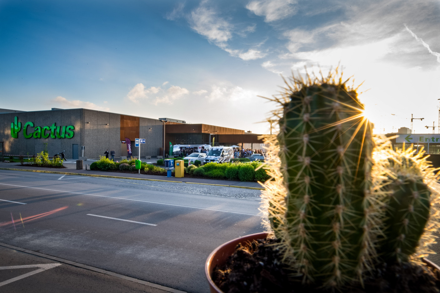 Parmi les spécificités de Cactus figure le fait que l’enseigne est généralement propriétaire et exploitante des surfaces occupées. (Photo: Nader Ghavami / Maison Moderne) 