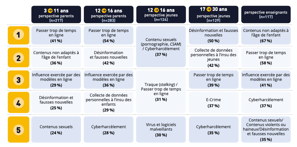 Les préoccupations majeures sur internet. (Tableau: Bee Secure)
