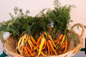 Chez Lët’z Grow, Senad Alic ne s’impose aucune limite dans ses essais pour cultiver une variété la plus large possible de légumes, fruits et plantes aromatiques. (Matic Zorman / Maison Moderne)