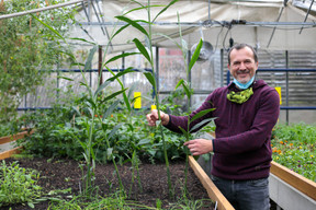 Chez Lët’z Grow, Senad Alic ne s’impose aucune limite dans ses essais pour cultiver une variété la plus large possible de légumes, fruits et plantes aromatiques. (Matic Zorman / Maison Moderne)