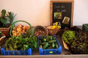 Chez Lët’z Grow, Senad Alic ne s’impose aucune limite dans ses essais pour cultiver une variété la plus large possible de légumes, fruits et plantes aromatiques. (Matic Zorman / Maison Moderne)