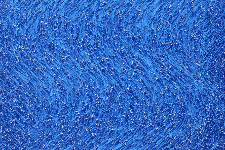 Sung Pil CHAE 1. PORTRAIT D’EAU (230511). 116x89cm. pigment naturel sur toile. 2023. (Photo: Artskoco)