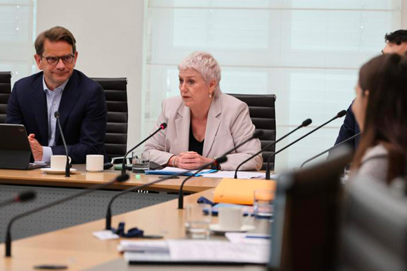 Le président de la Commission des institutions, Laurent Zeimet, et la maréchale de la Cour, Sasha Baillie, en commission parlementaire ce lundi 15 juin. (Photo: Chambre des députés)