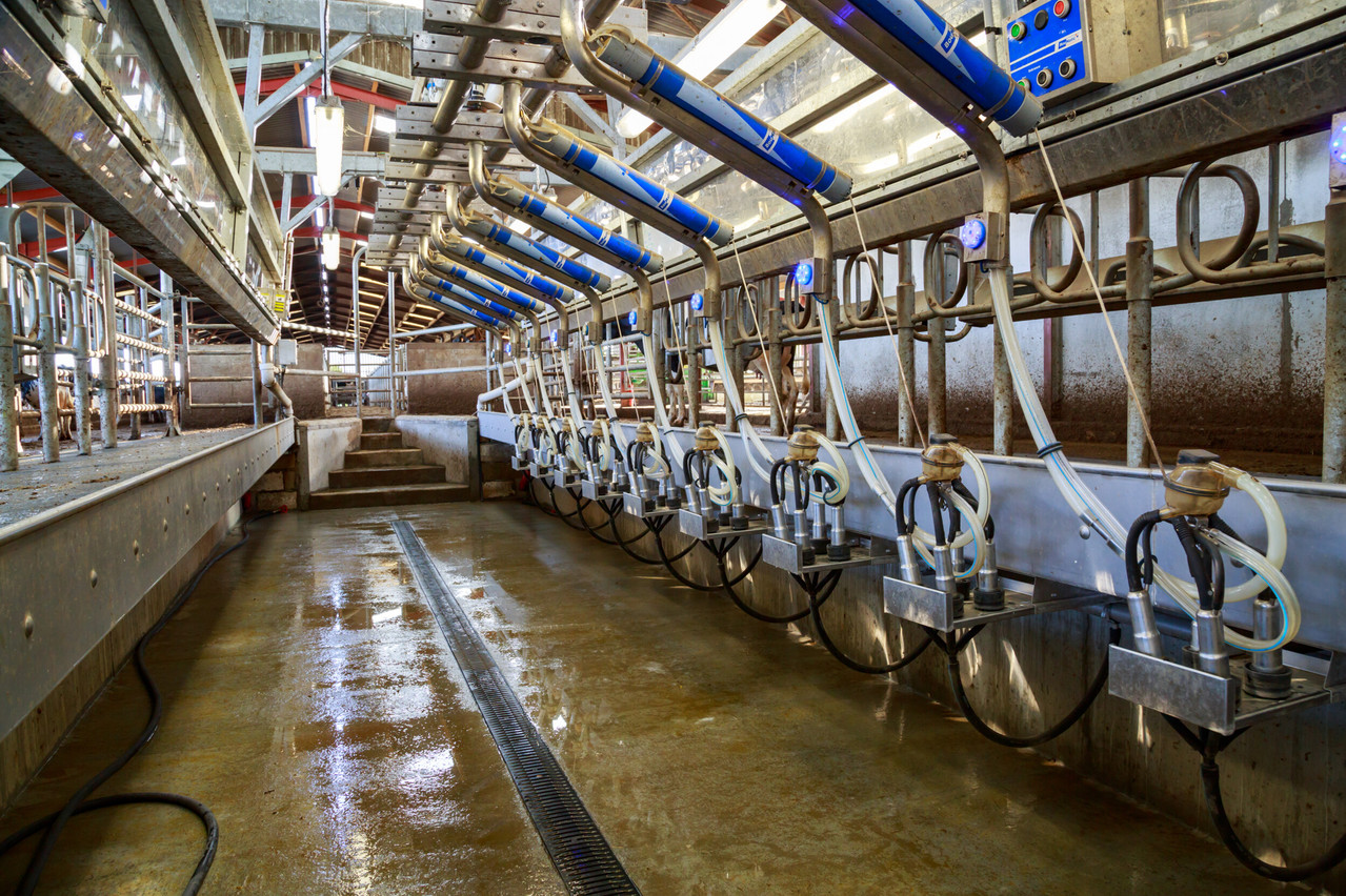 By announcing on Thursday 28 May that it would not be renewing its milk collection operations in Luxembourg, Lactalis has triggered an agricultural, industrial and political crisis. The French group collects around 50 million litres of milk from 68 Luxembourgish producers.  (Photo: Shutterstock)
