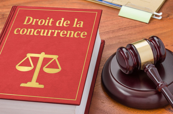 Le rapport annuel 2025 de l'Autorité de la concurrence reflète l'élargissement de ses missions, notamment avec le Digital Services Act. (Photo: Shutterstock)