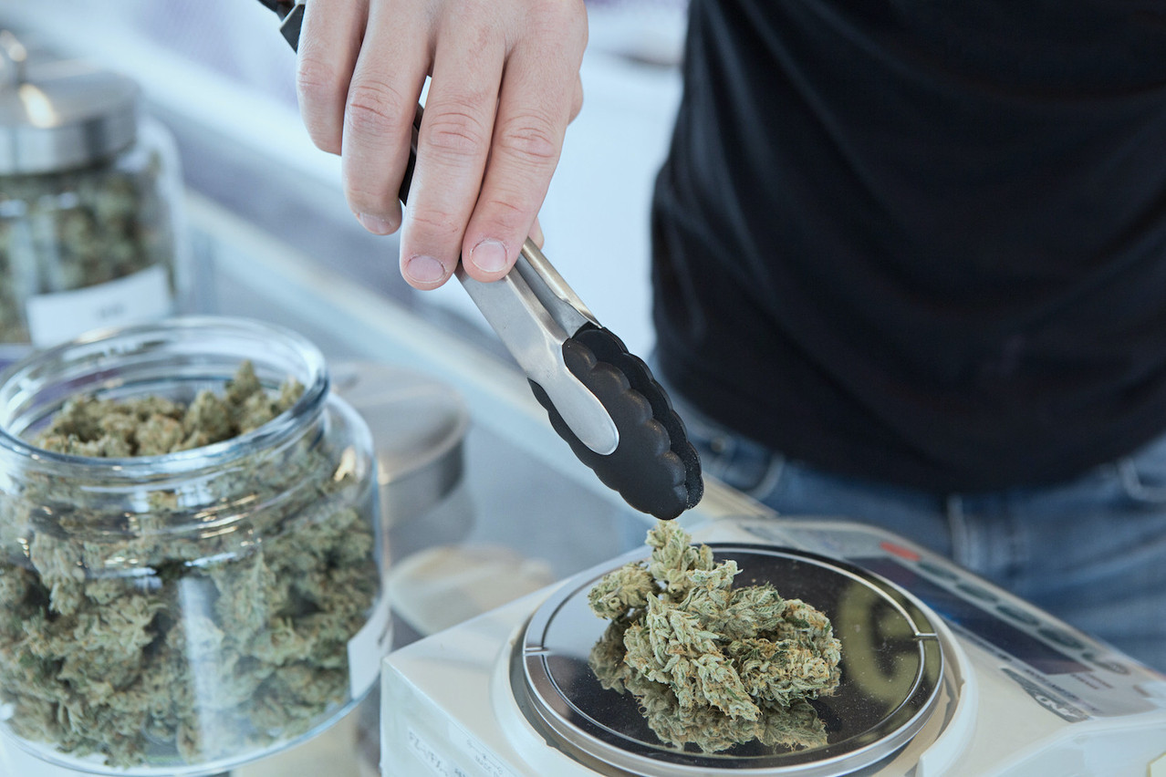 Depuis son lancement en février 2019, le programme de cannabis médical a connu une augmentation constante du nombre de patients, pour atteindre plus de 1.100 d’ici 2024. (Photo: Shutterstock)