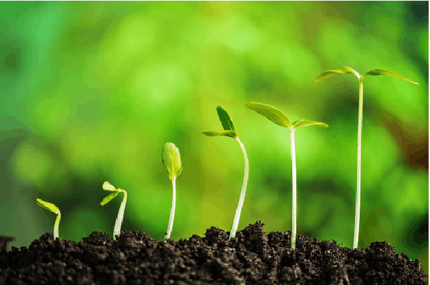 Les dividendes, ça compte ! Credit : M&G Luxembourg