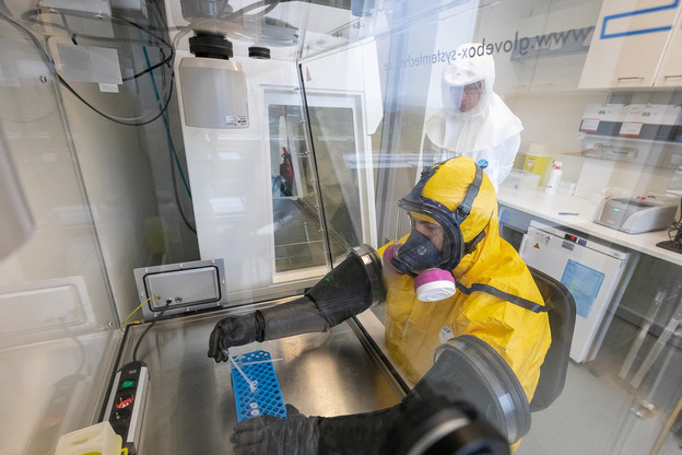 De cinq à sept échantillons testés au coronavirus chaque semaine au départ, le laboratoire est passé à une quinzaine par jour. Photo prise dans le laboratoire BSL-3 (sécurité de niveau 3), dans lequel le virus est désactivé. (Photo: LNS)