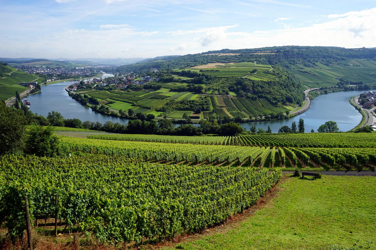 Luxembourg suffered from colder temperatures in 2021, though some heat spikes in unusual moments punctured through the cold blanket. Wine grapes will have benefitted from the fluctuations. Photo: Shutterstock