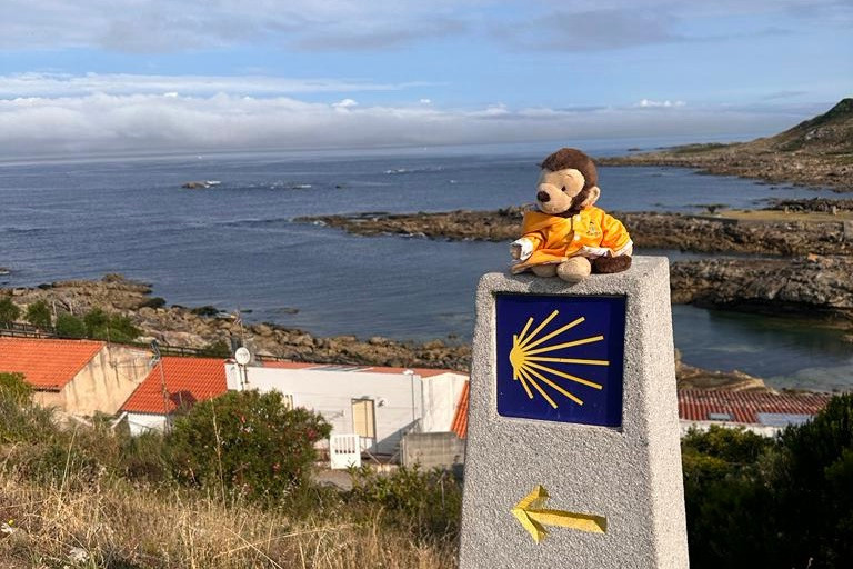 Anderson Wise’s managing partner Darren Robinson and Lucas the monkey (pictured) recently walked part of the Camino de Santiago to raise money for Luxembourg’s Fondatioun Kriibskrank Kanner, which accompanies families of children who have cancer. Photo: Darren Robinson