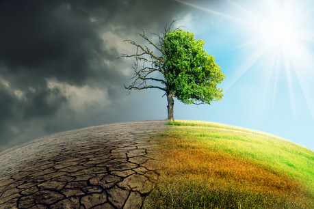 Les objectifs de protection de l’environnement du Luxembourg sont désormais inscrits dans la loi. (Photo: Shutterstock)