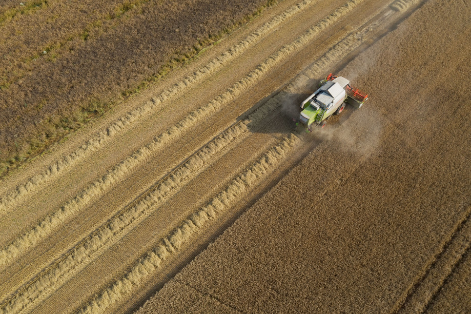 Luxembourg says it’s backing a proposal by the EU to allow farmers to plant protein crops on fallow land Photo: Jean-Christophe Verhaegen/European Union 2021