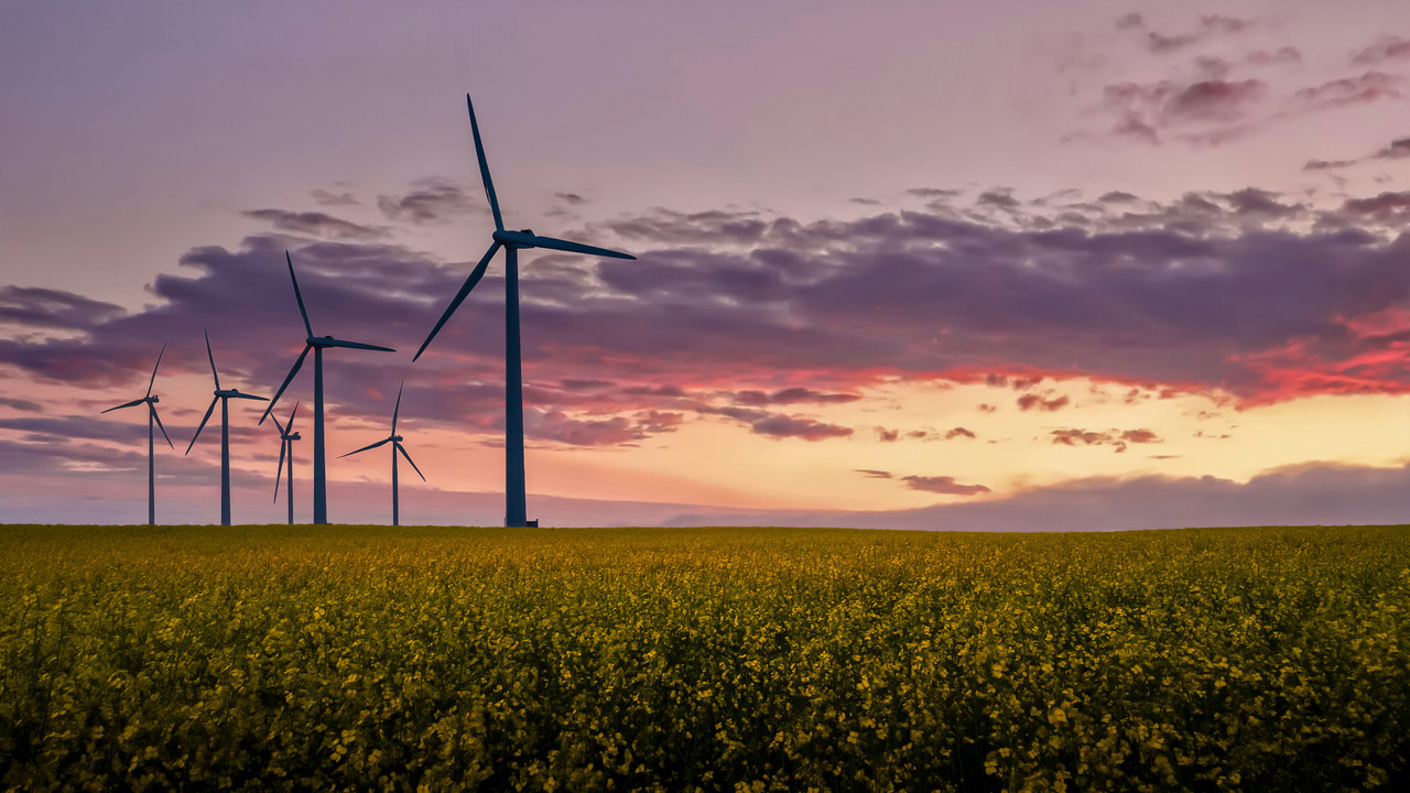 Luxembourg plans to attract more private sector investment into climate finance Photo credit: Nick Brundle. Shutterstock