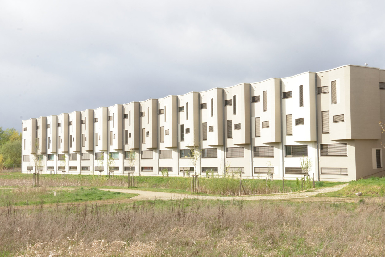 With mortgage rates at their lowest since March 2023, new loan volumes reflect steady buyer interest, particularly from young families, but the end of tax incentives and slowing rate cuts may temper future growth. Photo: Maison Moderne