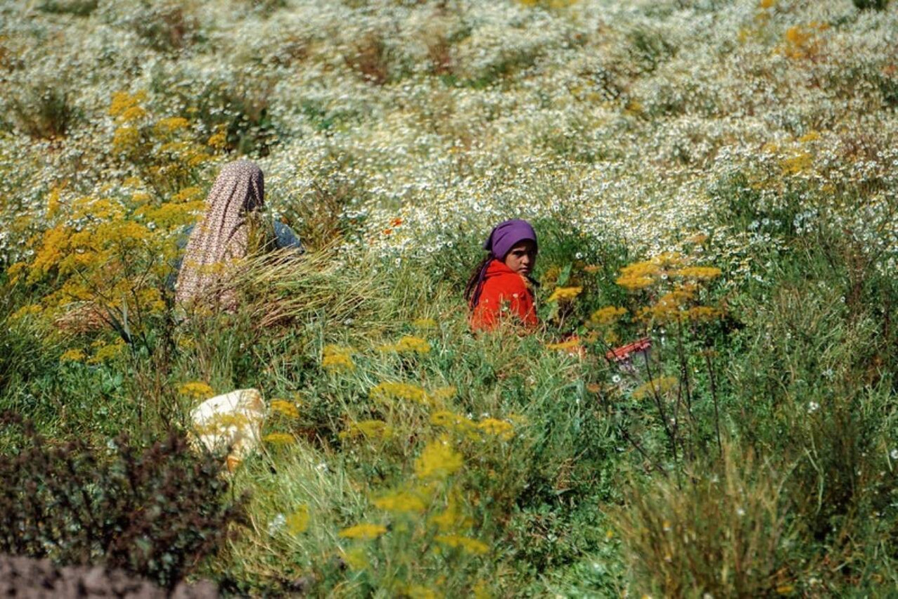 “New Era”, photographed in Egypt and awarded an honourable mention at the 2024 GLF Africa Photography Awards. Rio Changemakers aims to connect investors and funders with local projects that support climate action, biodiversity, and terrestrial and marine landscapes. Photo: Ahmad Mansour