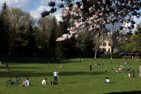 Parc Kinnekswiss ((Photo: Matic Zorman / Maison Moderne))