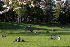 Parc Kinnekswiss ((Photo: Matic Zorman / Maison Moderne))