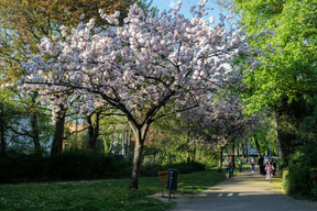 Parc municipal ((Photo: Matic Zorman / Maison Moderne))