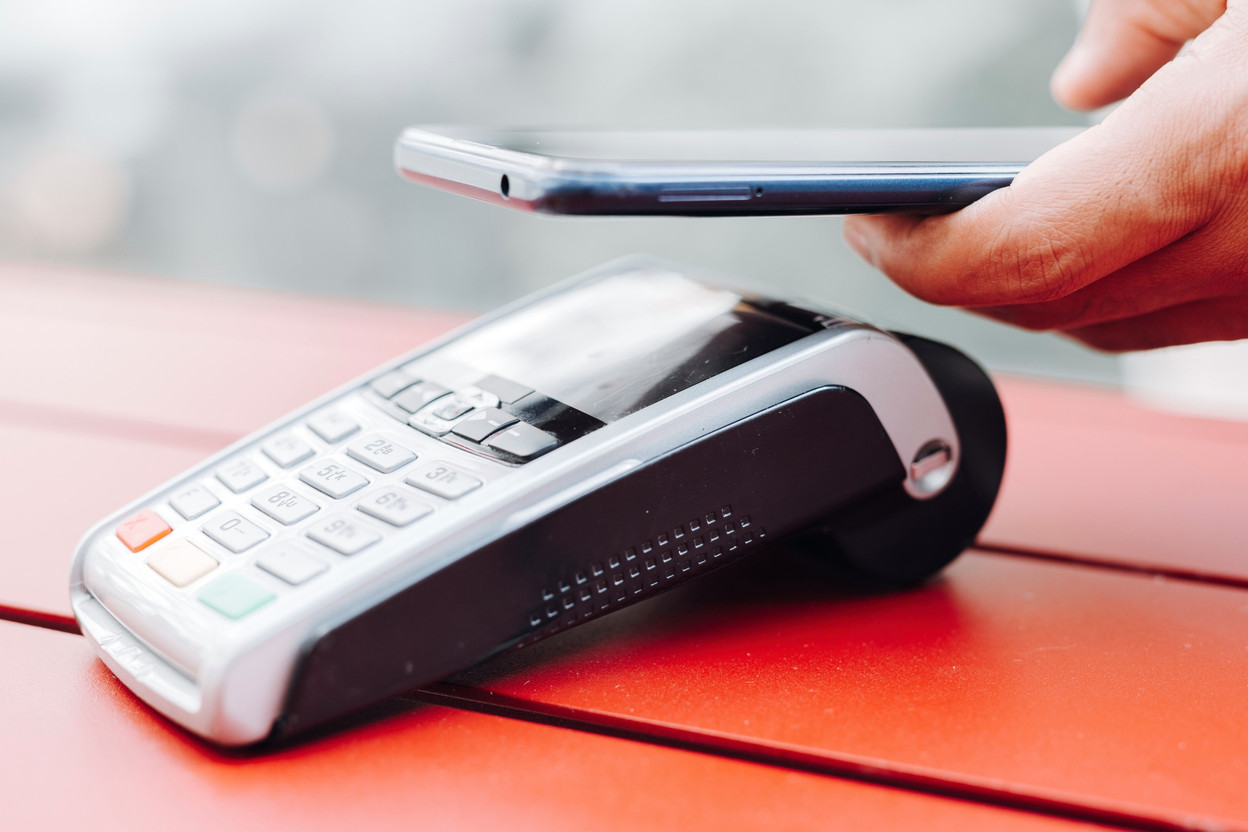 Luxembourg has emerged as the leading region in the EU/EEA for e-money fraud, reporting €34.9m in H1 2023, which accounts for 65% of the total fraud in the region. Photo: Shutterstock