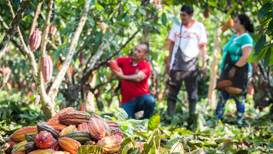 Fairtrade partners generated a turnover of over €24 million from the sale of Fairtrade products Fairtrade Lëtzebuerg