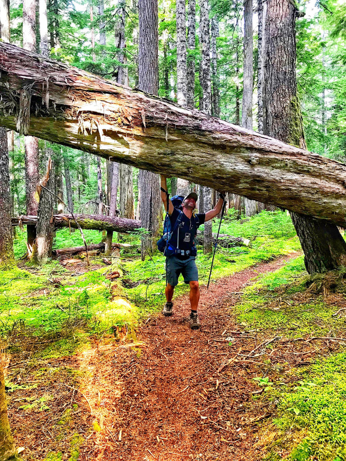 Photos from the PCT                            Guy Christen